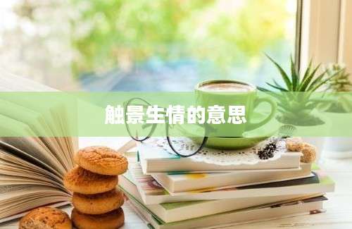 触景生情的意思