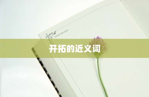 开拓的近义词