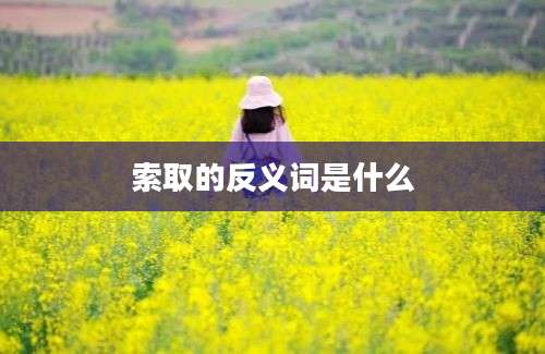 索取的反义词是什么