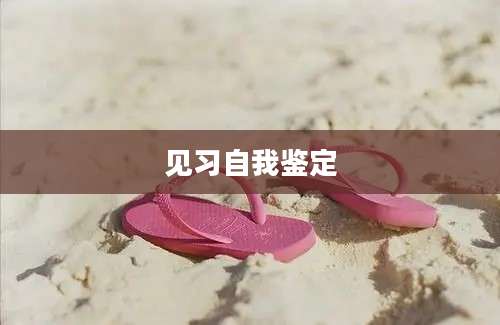 见习自我鉴定