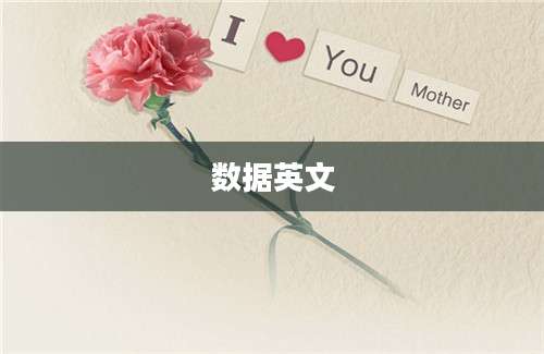 数据英文
