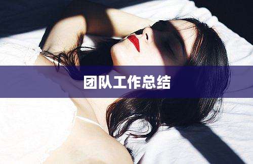 团队工作总结
