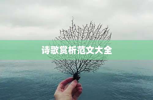 诗歌赏析范文大全