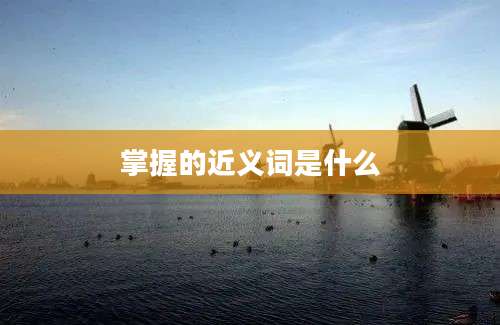掌握的近义词是什么