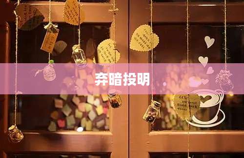 弃暗投明