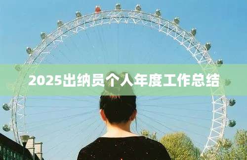 2025出纳员个人年度工作总结