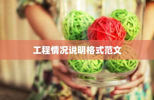 工程情况说明格式范文