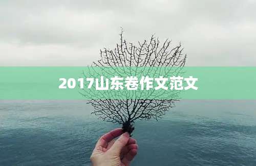 2017山东卷作文范文