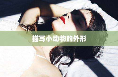 描写小动物的外形
