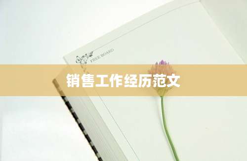销售工作经历范文