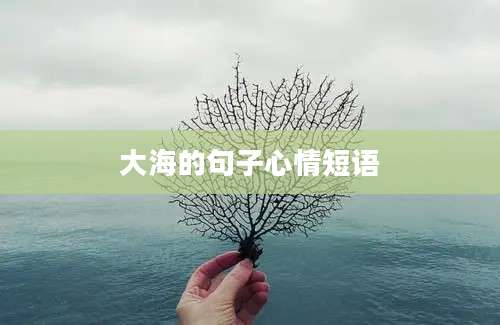 大海的句子心情短语
