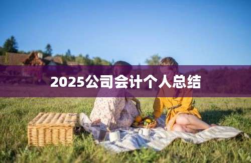 2025公司会计个人总结