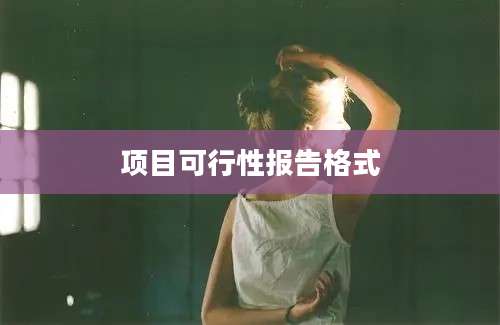 项目可行性报告格式