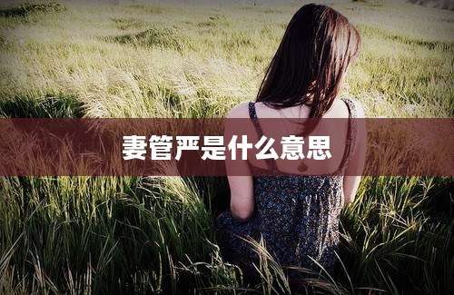 妻管严是什么意思