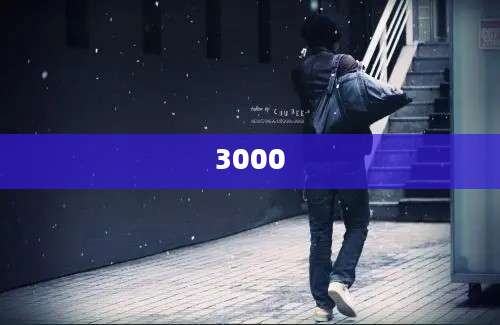 3000