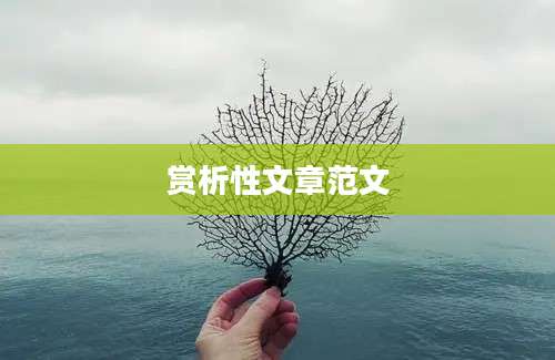 赏析性文章范文