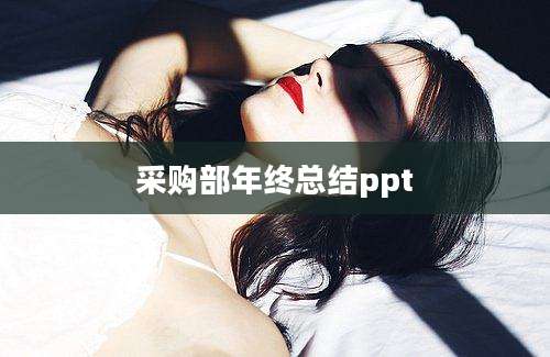 采购部年终总结ppt