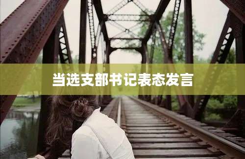 当选支部书记表态发言
