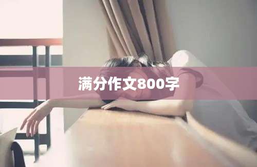 满分作文800字