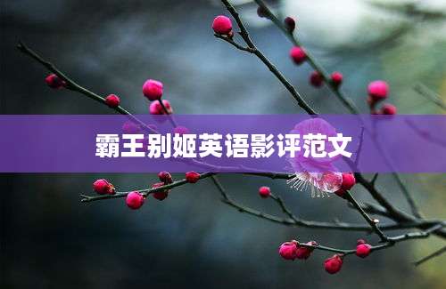 霸王别姬英语影评范文