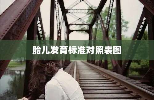 胎儿发育标准对照表图