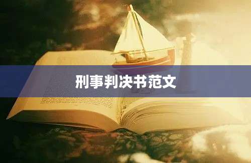 刑事判决书范文