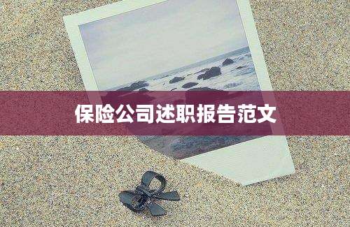 保险公司述职报告范文