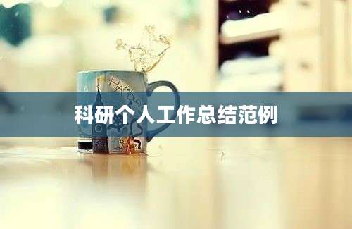 科研个人工作总结范例