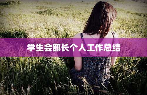 学生会部长个人工作总结