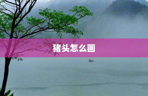 猪头怎么画
