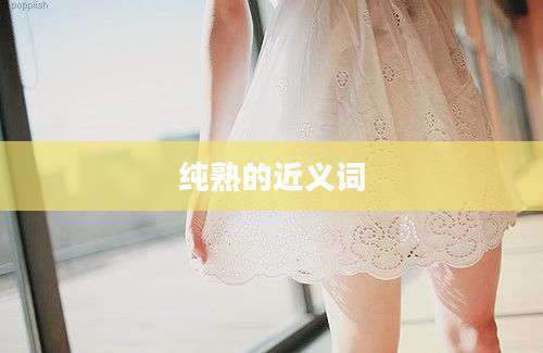 纯熟的近义词