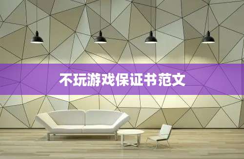 不玩游戏保证书范文