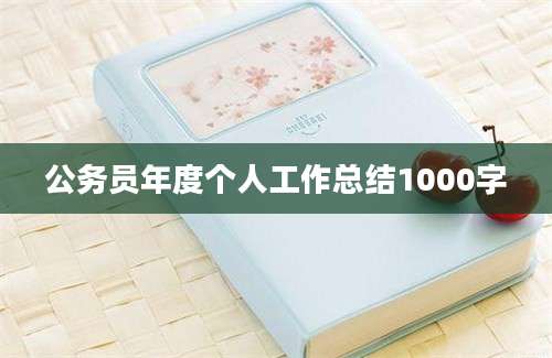 公务员年度个人工作总结1000字
