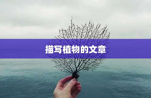 描写植物的文章