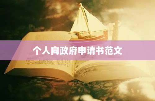 个人向政府申请书范文