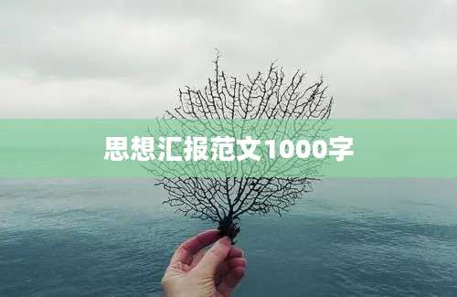 思想汇报范文1000字