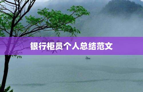 银行柜员个人总结范文