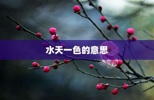 水天一色的意思
