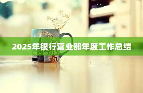 2025年银行营业部年度工作总结