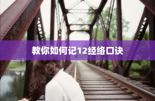 教你如何记12经络口诀