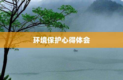 环境保护心得体会