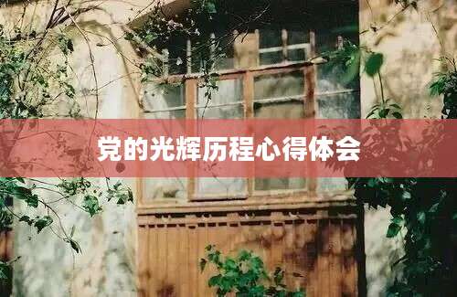 党的光辉历程心得体会