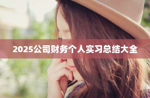2025公司财务个人实习总结大全
