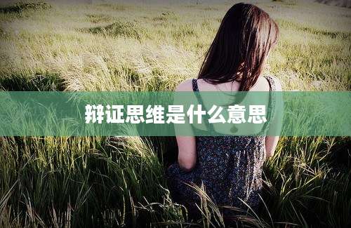 辩证思维是什么意思