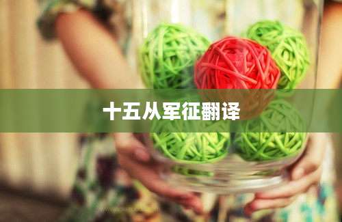 十五从军征翻译