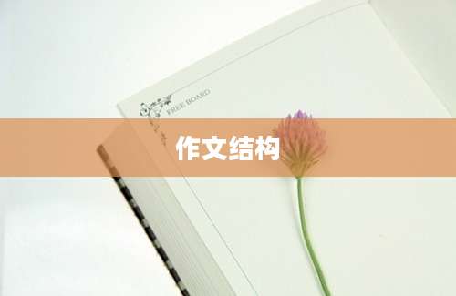 作文结构