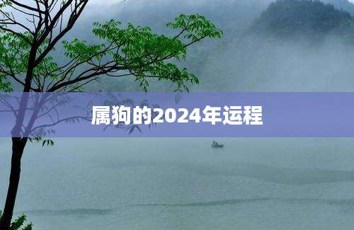 属狗的2024年运程