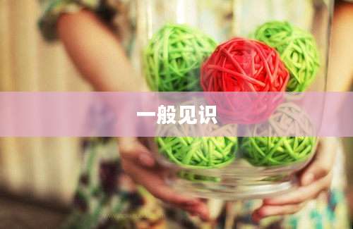 一般见识