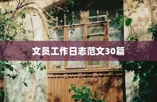 文员工作日志范文30篇
