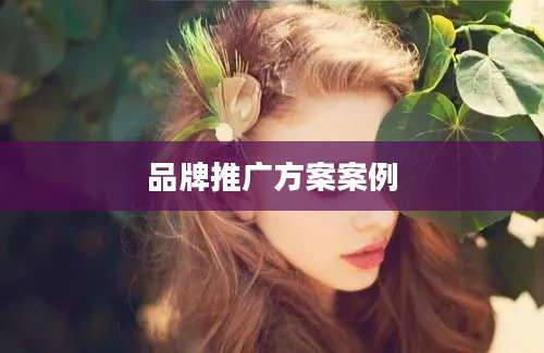 品牌推广方案案例